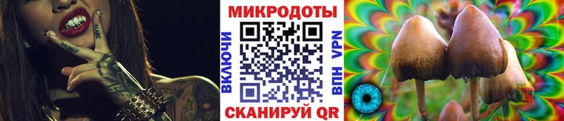 Псилоцибиновые грибы мицелий  Купить закладки  Облучье 